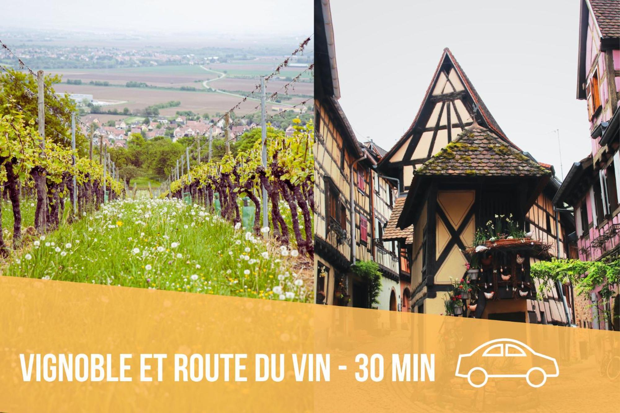 Les Pinots D'Alsace - 3 Bungalows Climatises Avec Tv - Proche Europa Park Boofzheim Δωμάτιο φωτογραφία